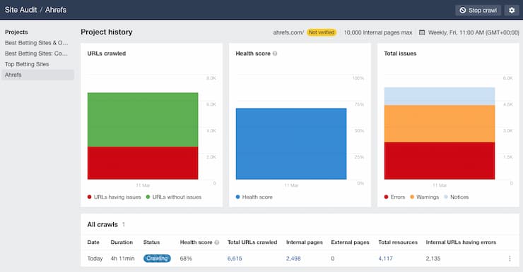 site audit